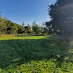 b-immo-689 m² Terrain 689 m² Verdoyant à proximité du centre de Saint Gildas De Rhuys